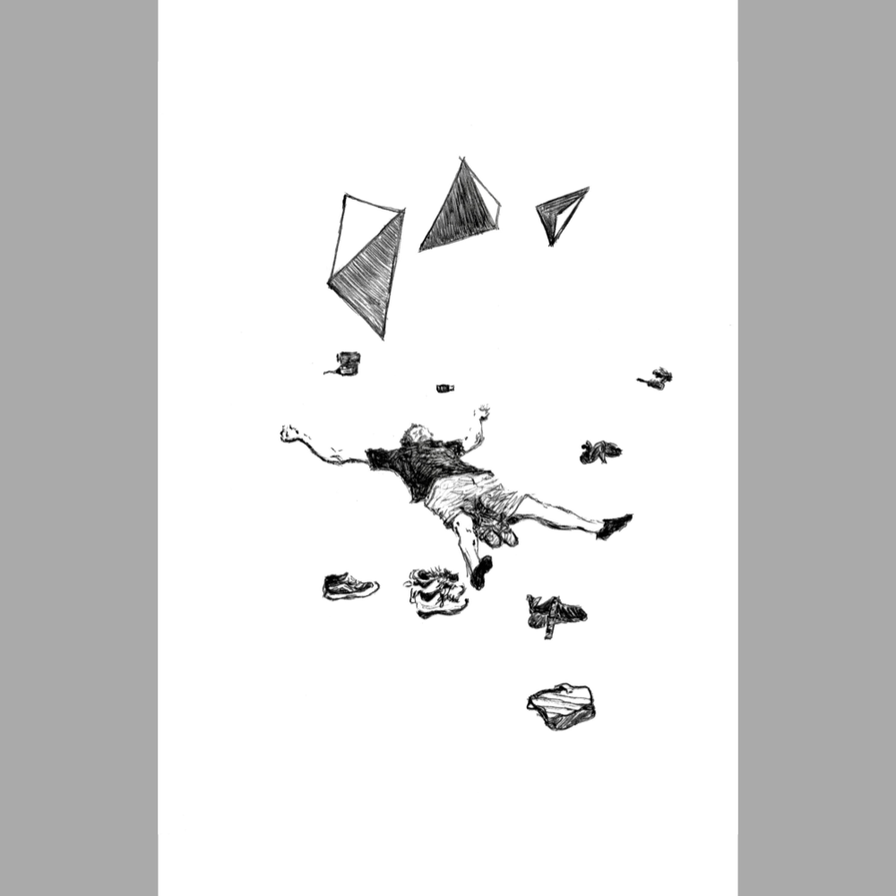 Setter Dream - Paper Print