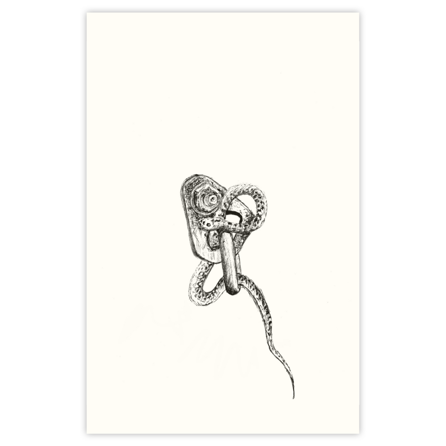 Snake - Paper Print