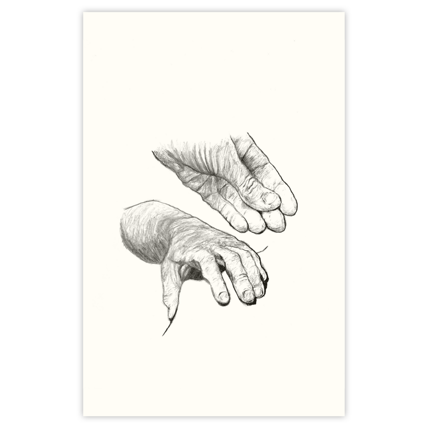 Soft Touch - Paper Print