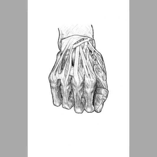 Anatomy - Paper Print