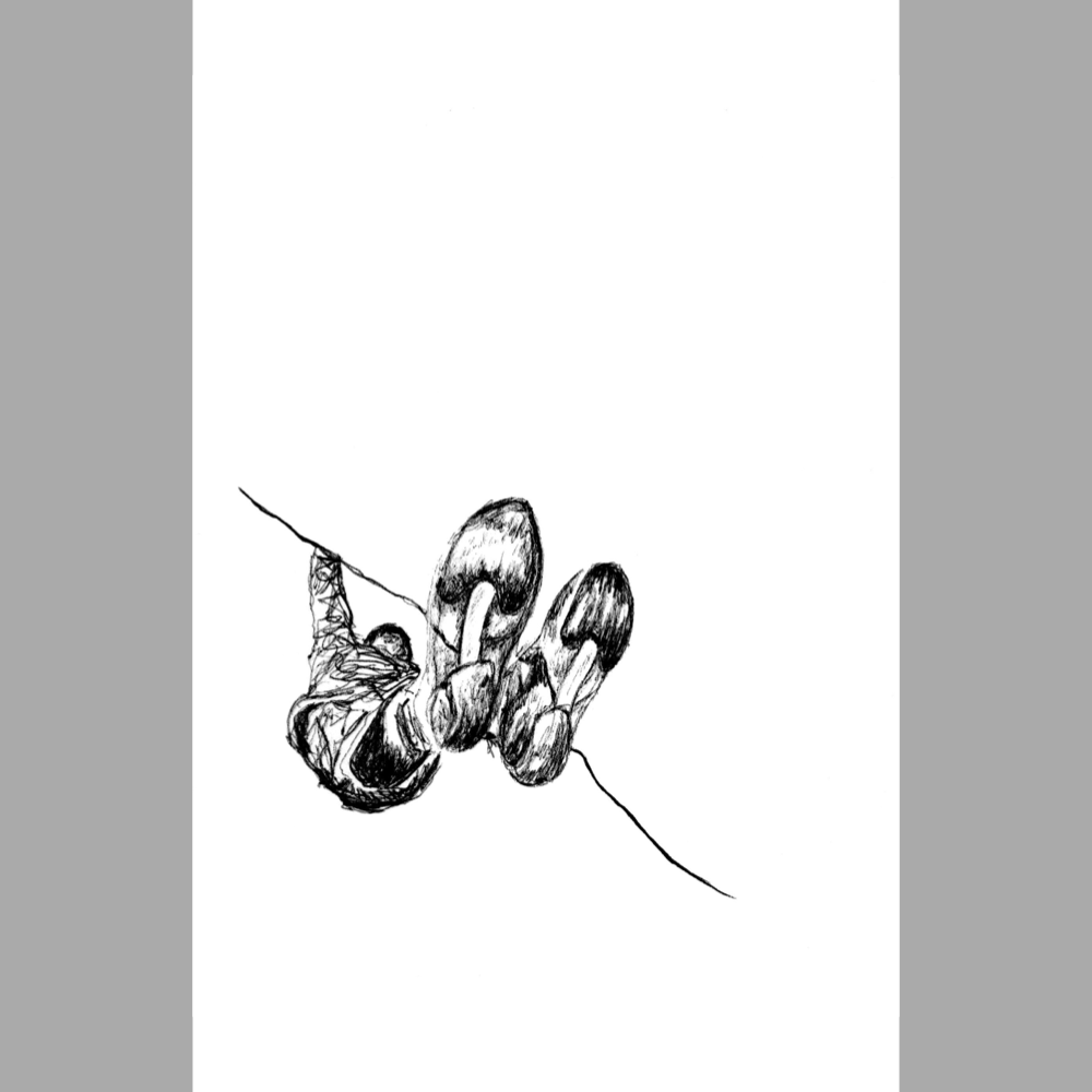 Toe Hook 2 - Paper Print