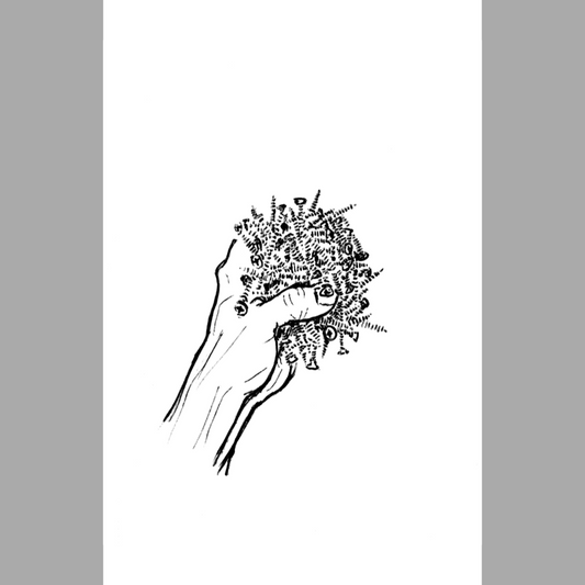 Setter 3 - Paper Print