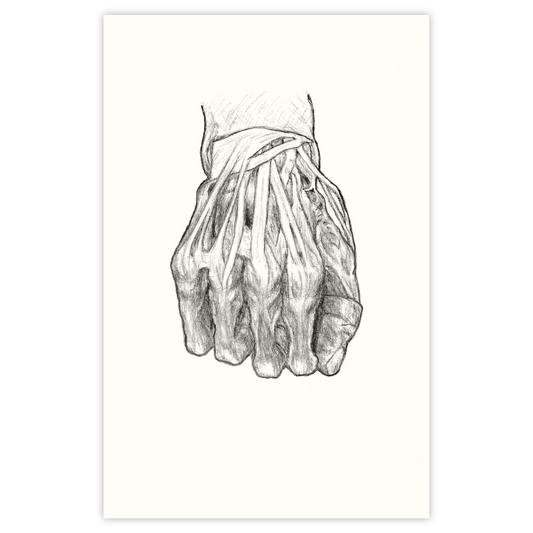 Anatomy - Paper Print