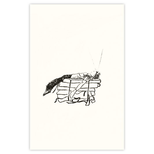 Night Night - Paper Print