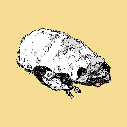 Stinky Dogs T-Shirt - Chalky Yellow