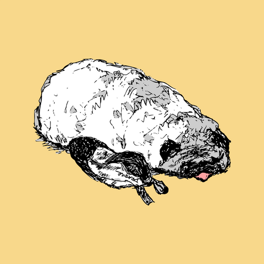 Stinky Dogs 01 T-Shirt - Butter