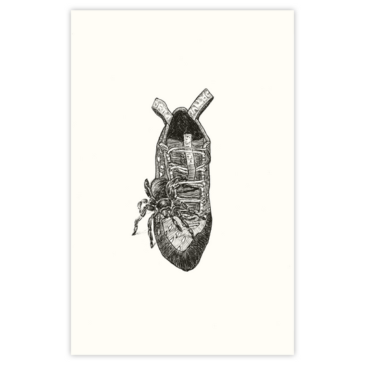 Tarantula - Paper Print